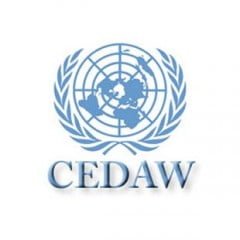 CEDAW 62nd Session