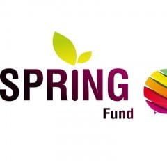 GWI delighted to announce partnership with New Spring Fund